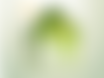 5 Must-Do Home Maintenance Tasks For Spring