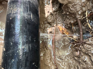 Sprinkler System Repair in Twin Falls: Why Small Leaks Shouldn’t Wait