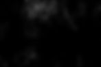 background-paint-still-life.jpg