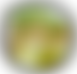 Progetto orto botanico