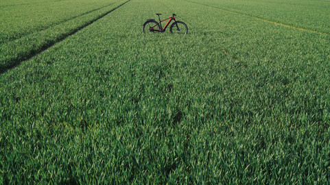 Wiesengrünes Feld mit Fahrrad