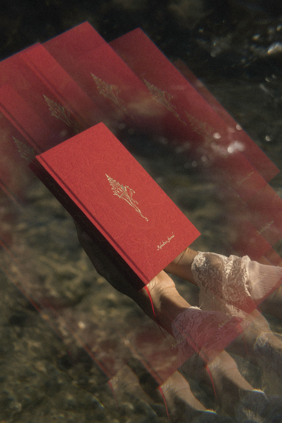 Thumbnail: aphrodite journal - dreamymoons