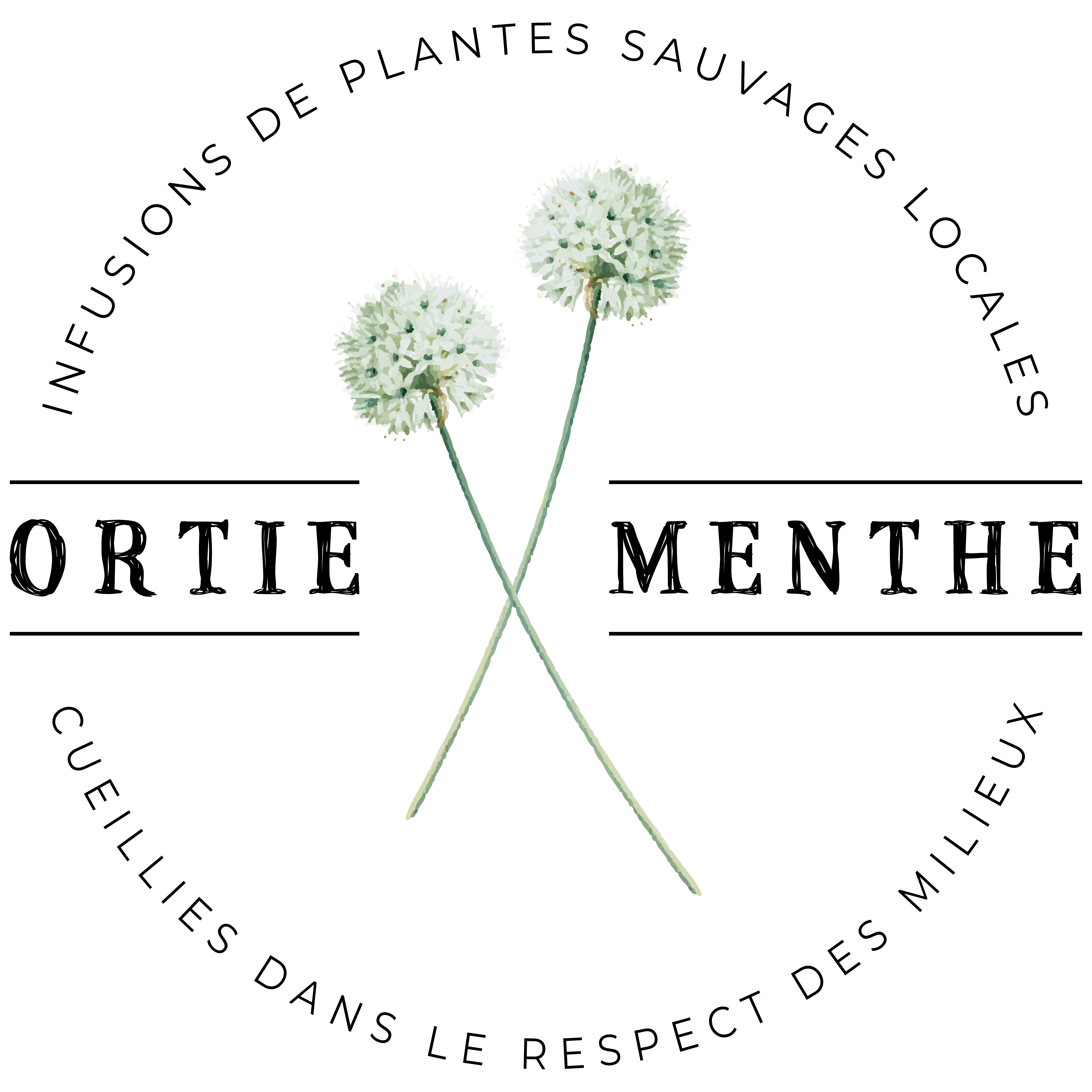 logo ORTIE MENTHE complet - noir.png