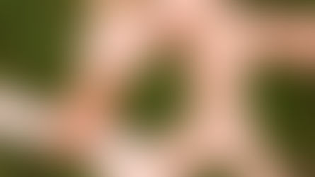 Guarda compartilhada não é uma operação matemática