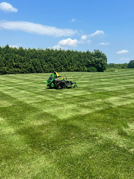 mowing.jpeg