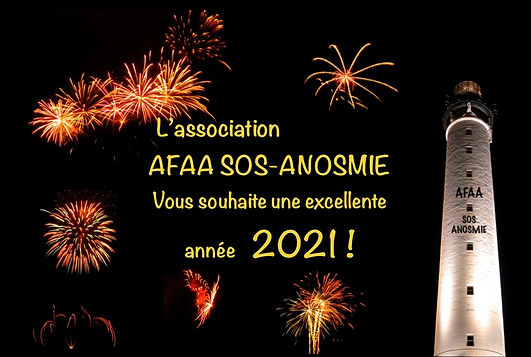 Voeux 2021.jpeg