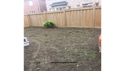 old grass completely removed