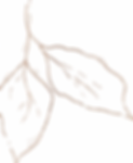 Golden Leaf