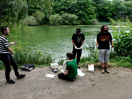 Exploring the Myriad Benefits of Place-Based Education at CaST School Toronto
