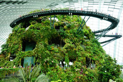 Botanical Pavillon-DSC08373.jpeg