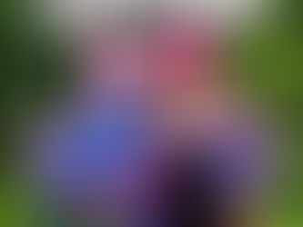 Plush Giveaway!