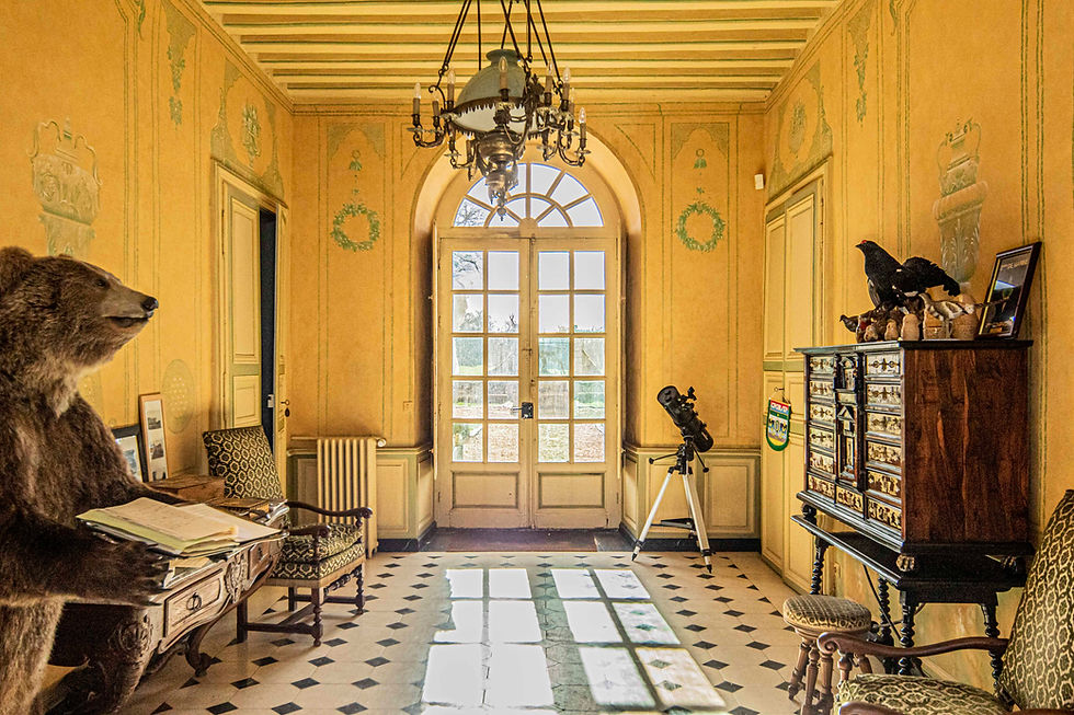 Château Ardenay-sur-Mérize__intérieurs__21.