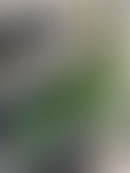 下北沢美容室LOAWeロウイBLOG