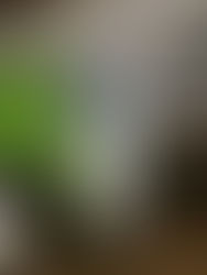 下北沢美容室LOAWeロウイBLOG