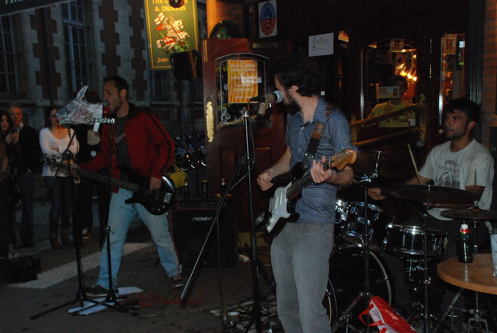 lerockamichel-fetedelamusique2013+TOULOUSE.JPG