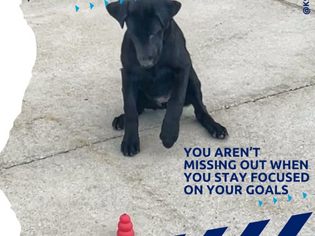 Really, You Aren't Missing Anything