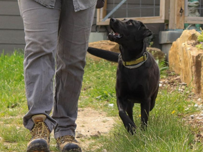 Managing Arousal Levels....