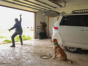 I WANT to Train the Sexy Stuff