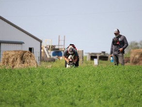 The Art of Self Reflection