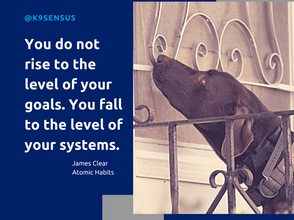 What cues do you have in your life to encourage you to train?