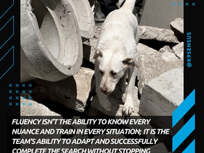 Understanding the Difference Between Competent, Proficient, and Fluent Performance is Key to Planning Your Training