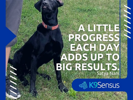 It's the little tiny steps that bring big results