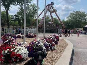 Training Roller Coasters