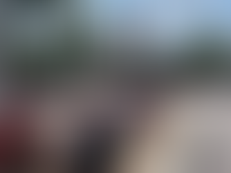 Training Roller Coasters