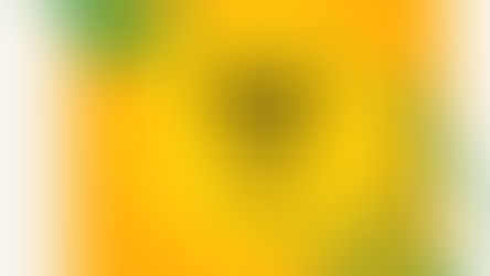 Início das filiações para a IFMSA UniRV!