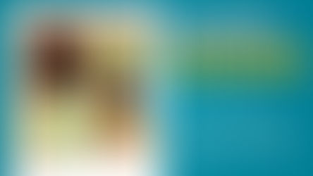 "Hospital do Ursinho" promove cuidado e aprendizado de forma lúdica