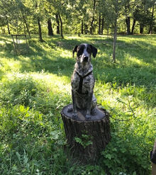 Sabato 25.10.2025 ore 09.30 Bellinzonese Passeggiata e Mobility Dog al percorso vita