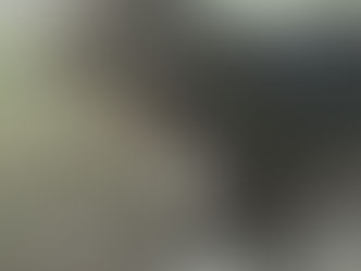 Album dei ricordi 2025