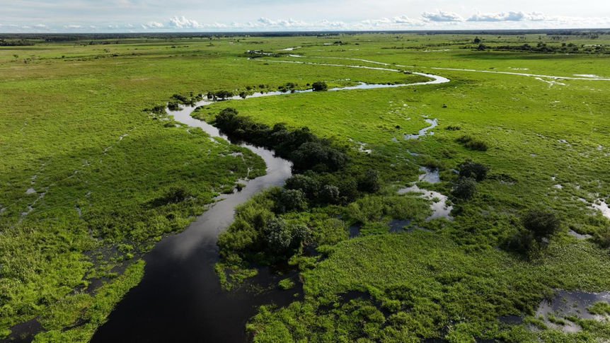 Vista aérea dos alagados do Pantanal