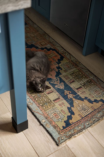 Chat gris couché sur un tapis vintage dans une cuisine aux armoires bleues