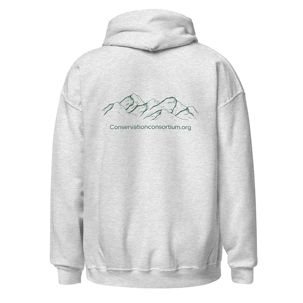 Thumbnail: Hoodie