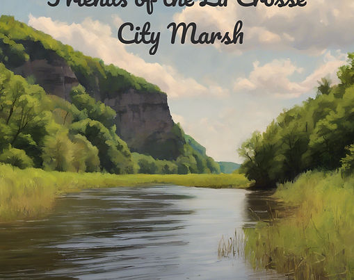 Friends of La Crosse City Marsh
