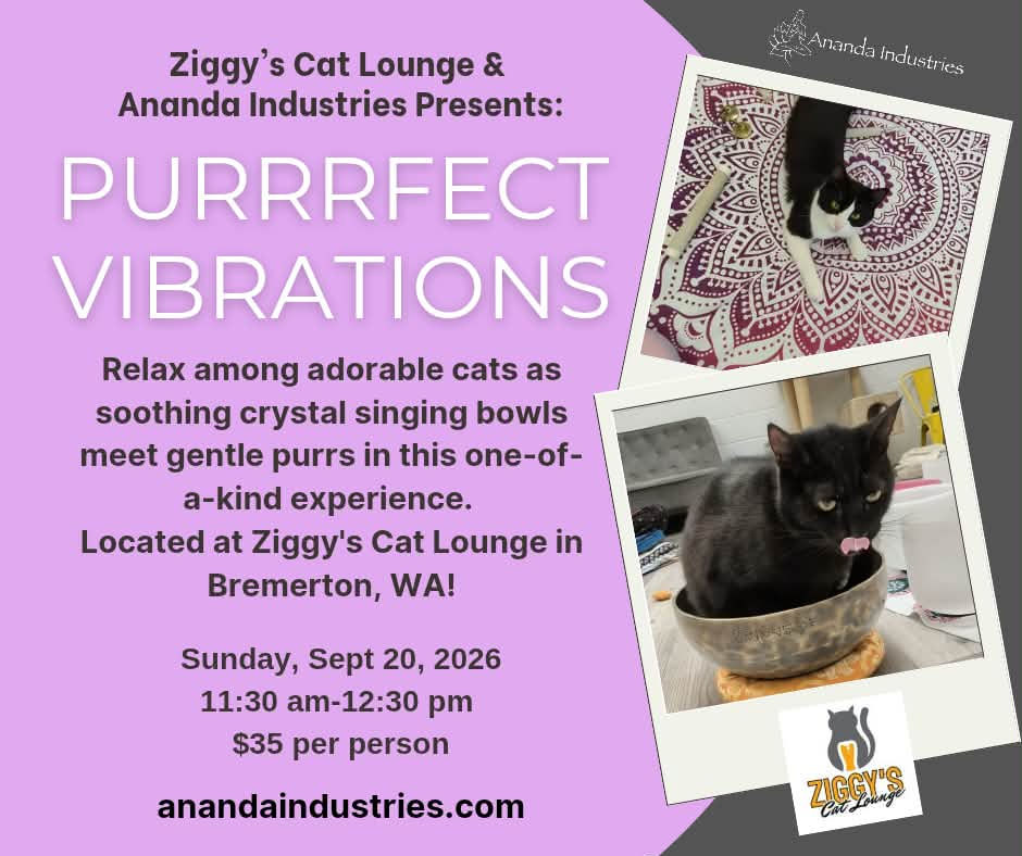The 2ND ONLY Purrrfect Vibrations- Ziggy's Cat Lounge Sound Bath of 2026!