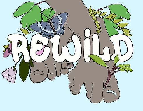 Resized_1618592630324_rewild_2_logo.jpeg