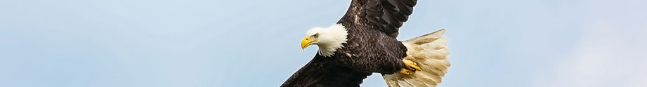 AEnB2UofHwoITnqn_P2Ksk4qGStsN9dUCFfCgaWhqM2QGsXN4yiOC35NcnVeMEhReYOiuqdGflPctpZS7cHIOiKPNw