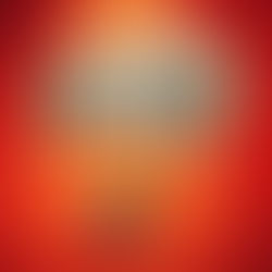 A red background and a cartoon bird with a huge speech bubble reading HONK!