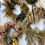 Thumbnail: Custom Wreath - Dried 