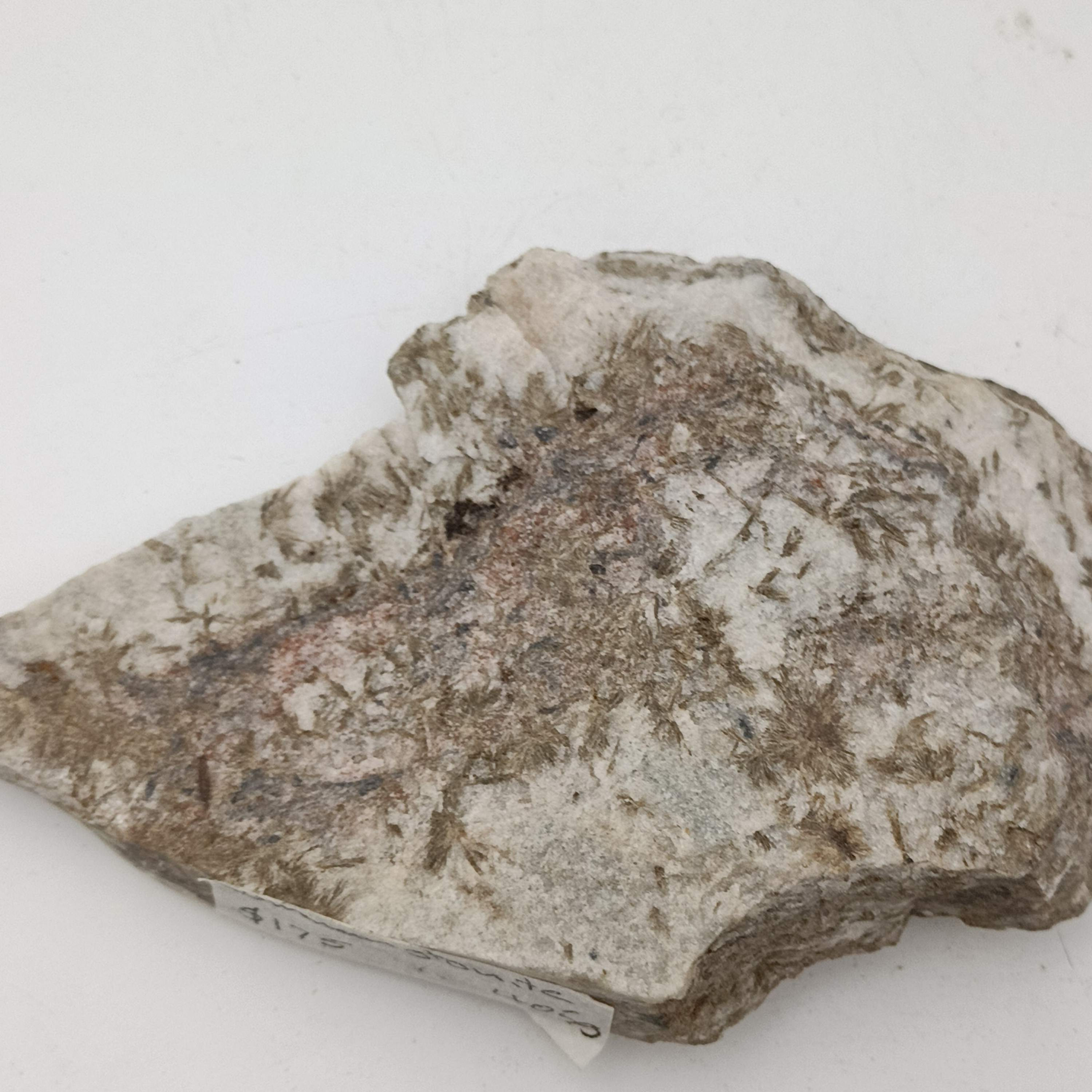 Cummingtonite Raw 405g Web3