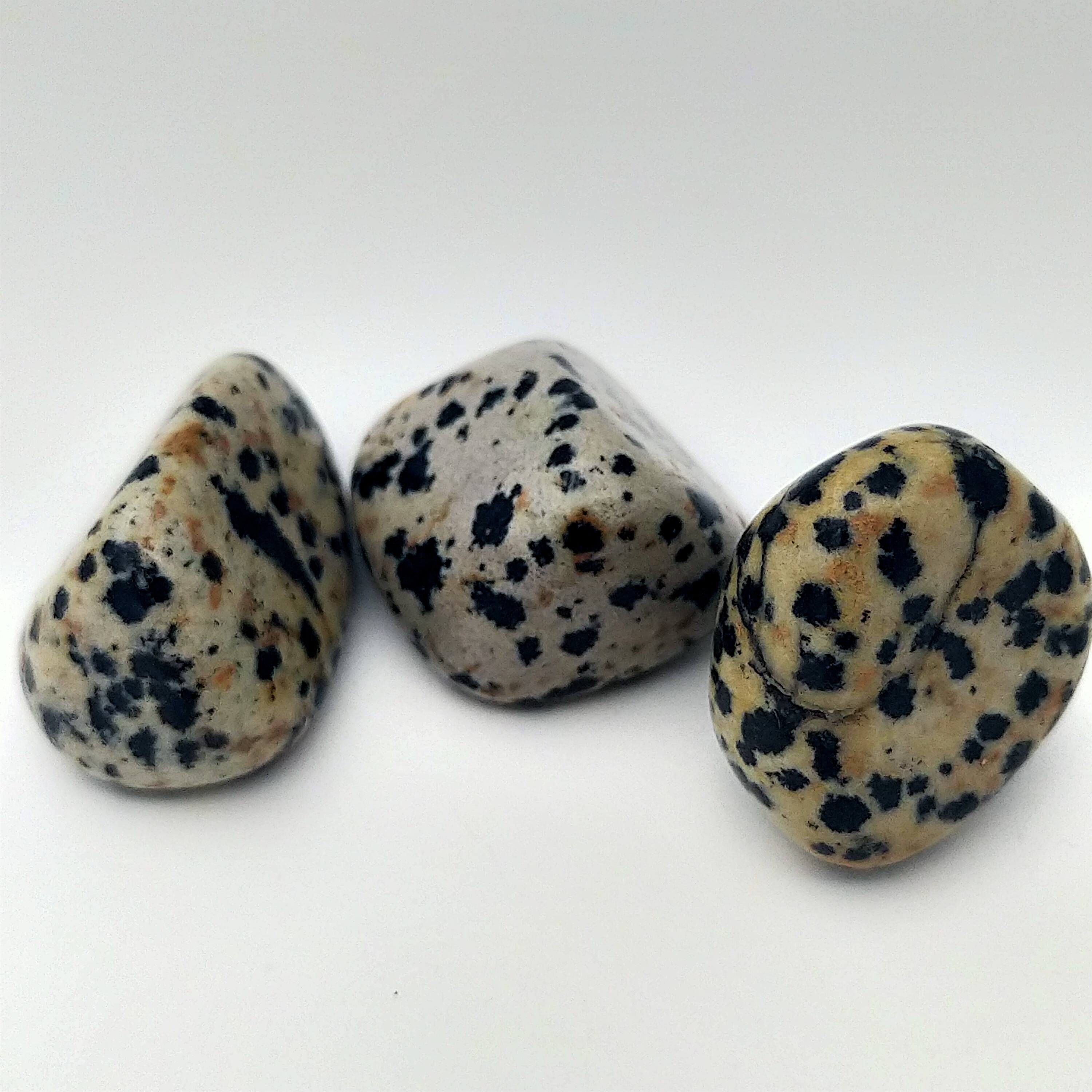  Dalmatian Jasper Tumble 