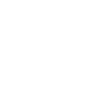LOGO_ICON_INNER CLARITY_weiß.png