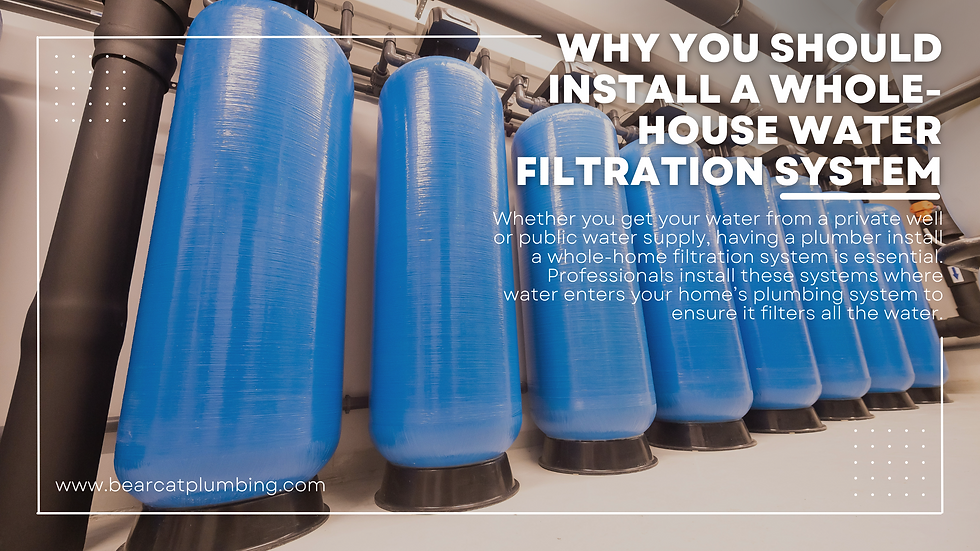 Large filtration system installed in a home.