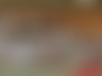 第14回三豊市スポーツ協会長杯少年柔道大会