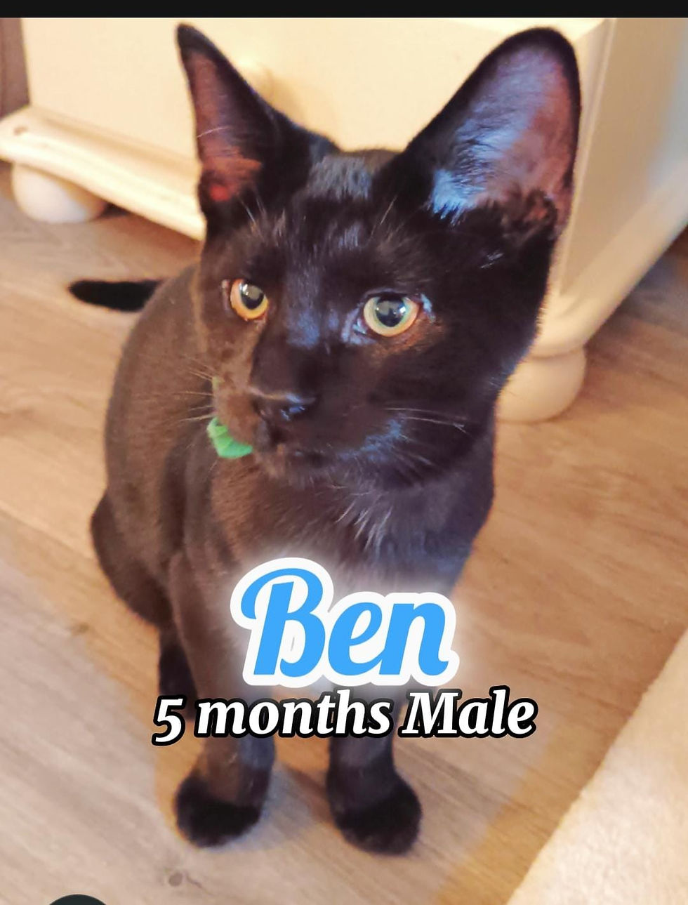 Ben