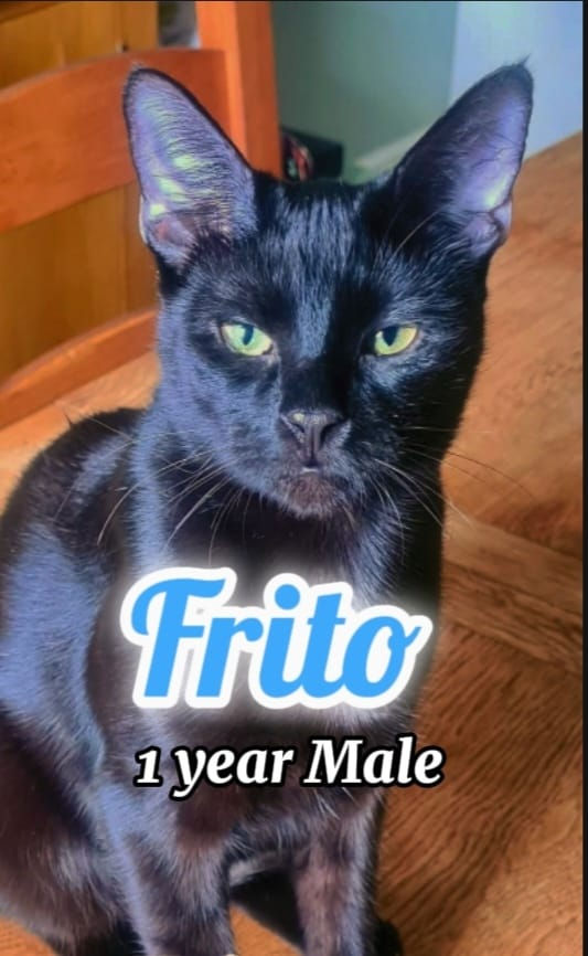 Frito