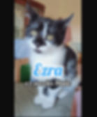 Ezra