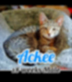 Ackee